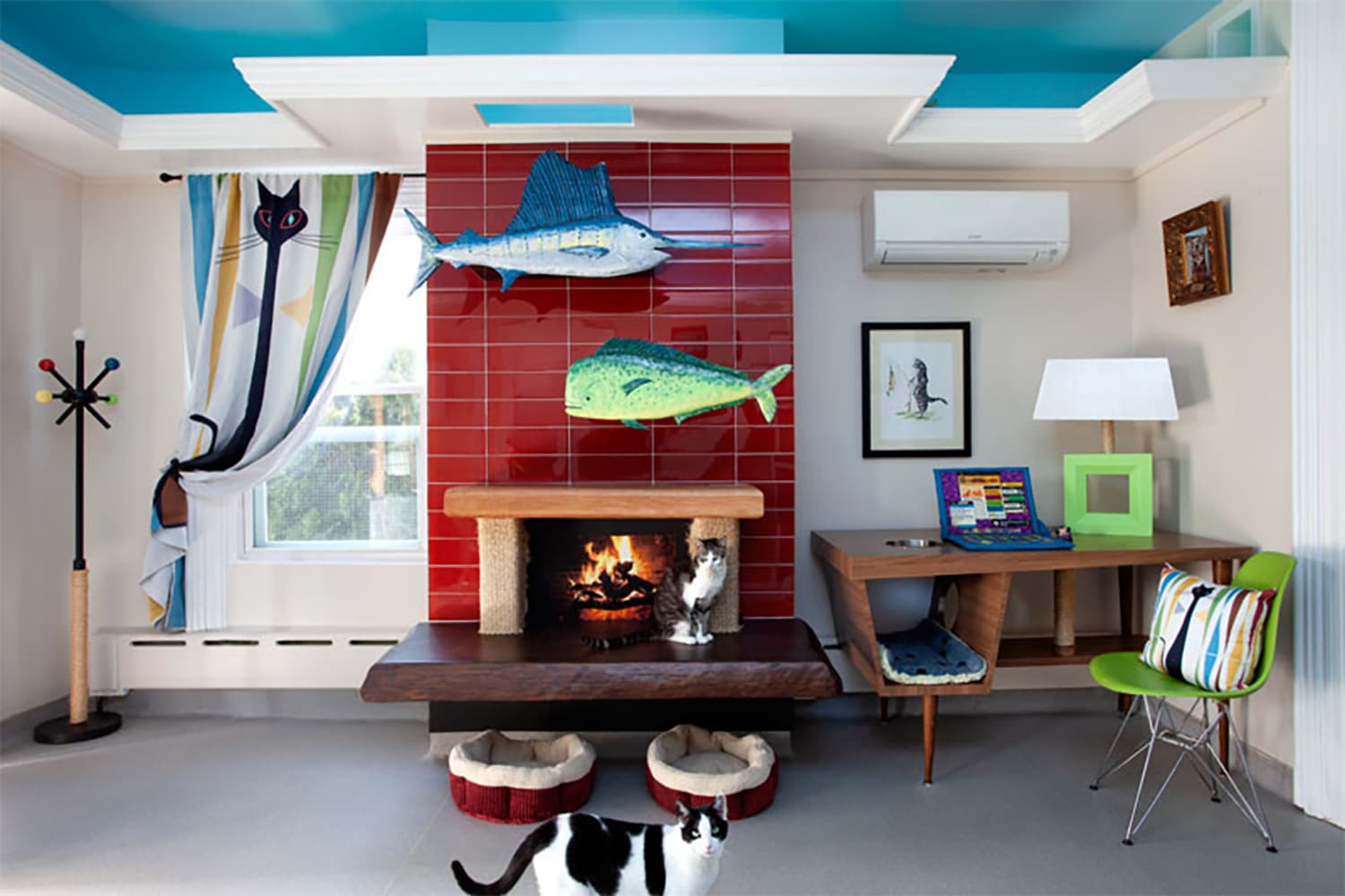 Cat outlet house sanctuary